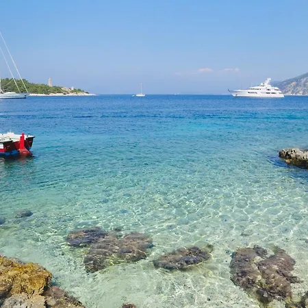 Stella * 피스카던