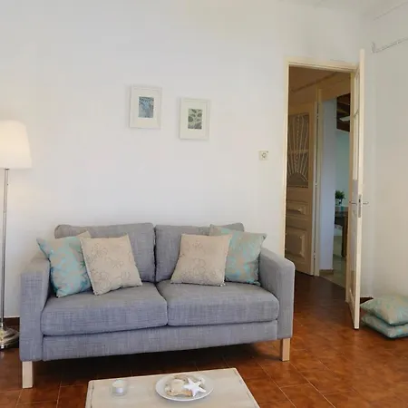 Stella * 피스카던